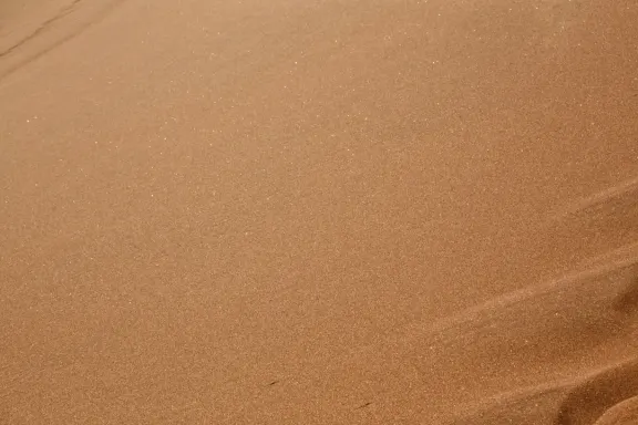 Cazino Bingo Millionaire Cazinou Suport